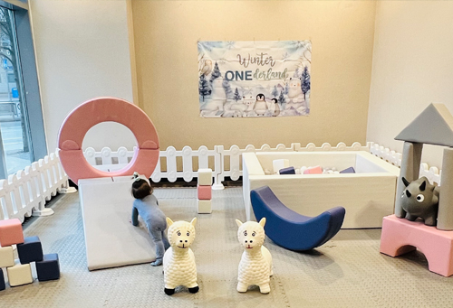 Luxe Soft Play Ball Pit & Bouncy Castle Rental